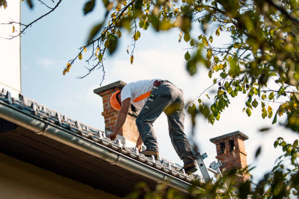 Best Roof Leak Repair  in Collinsvle, IL