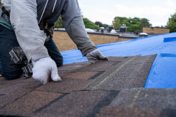 Best Roof Replacement Cost  in Collinsvle, IL