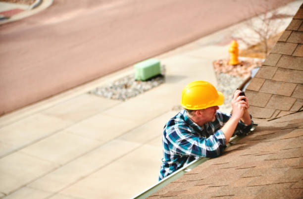 Best Local Roofing Companies  in Collinsvle, IL