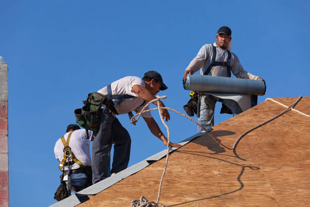 Best Roof Repair Services  in Collinsvle, IL