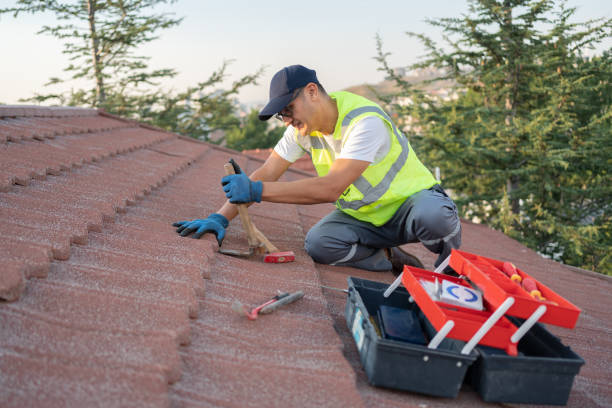 Best Residential Roofing Contractor  in Collinsvle, IL